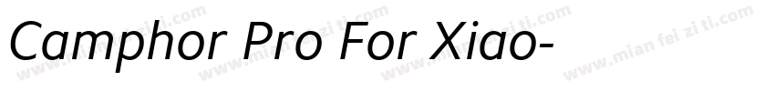 Camphor Pro For Xiao字体转换